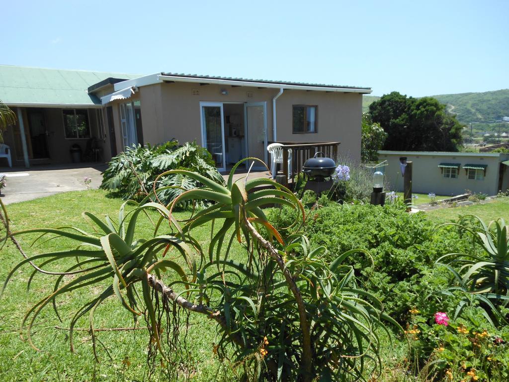 Geckos B&B And Self-Catering Coffee Bay Værelse billede