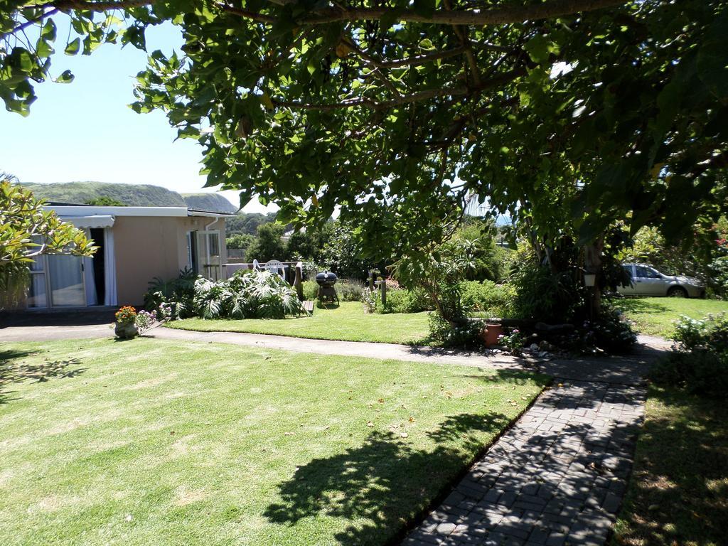 Geckos B&B And Self-Catering Coffee Bay Eksteriør billede
