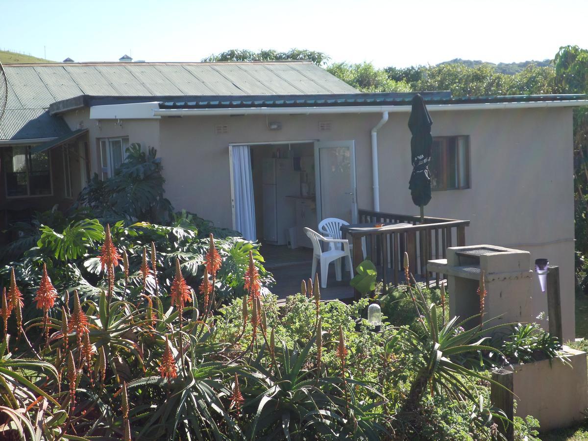 Geckos B&B And Self-Catering Coffee Bay Eksteriør billede